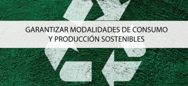 Patrones de Producción y Consumo Sostenible