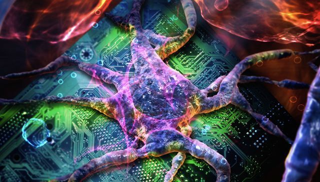 Angela Belcher y sus colegas en el MIT construyen una batería de iones de litio con un tipo común de virus