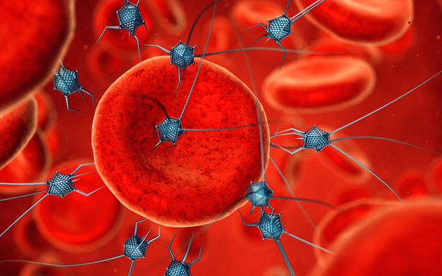 Nadrian Seeman y varios colegas de la Universidad de Nueva York crean varios dispositivos a nanoescala con un montaje robótico de ADN