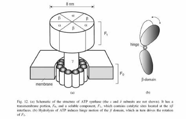 Creación del motor nano-mecánico.