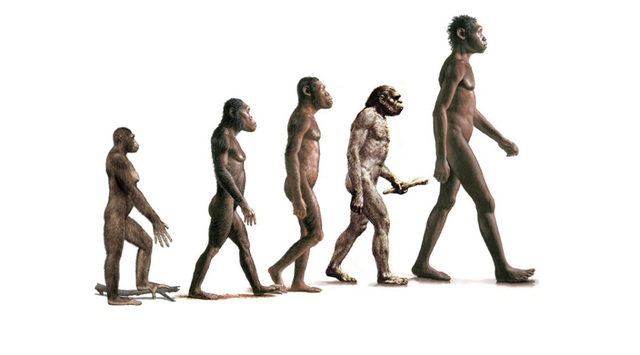 Aparacen os homínidos