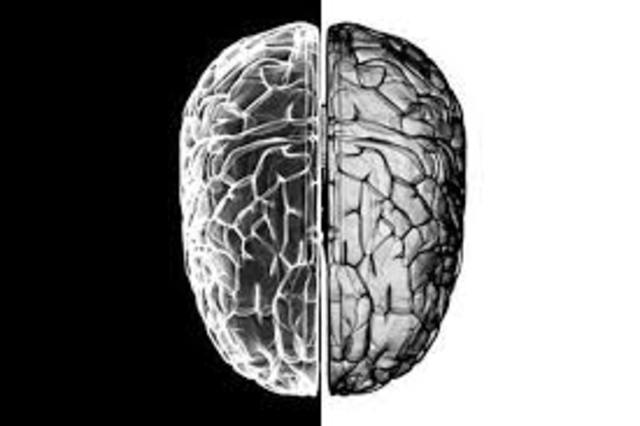 José Alonso Forteza (1998)