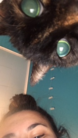 got my first kitty & Micheal Jackson died