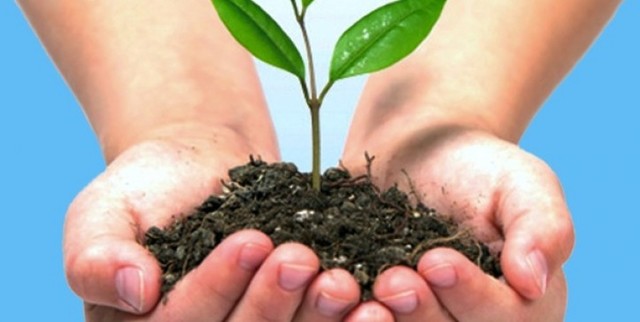 Comisión Brundtland