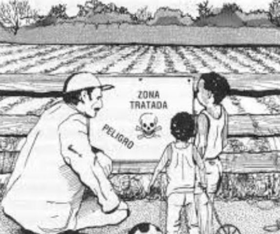 Segunda mitad del SIGLO XX