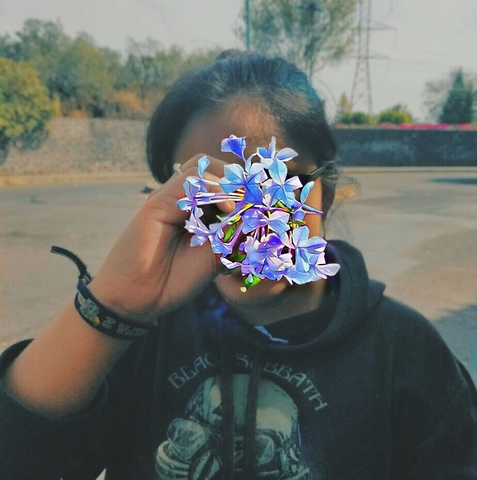 Mora Toledo Verónica