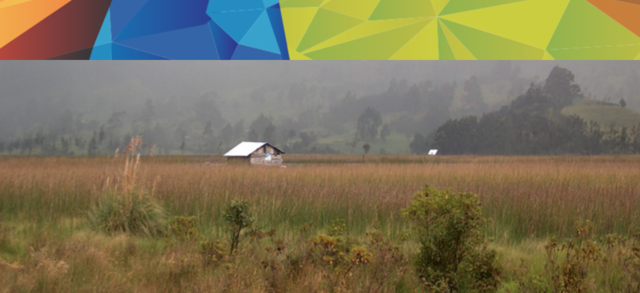 Informe bienal de actualización.