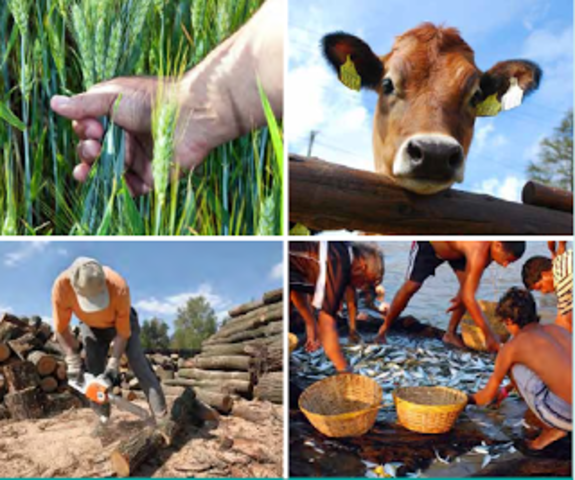 Consumo desmedido de bienes y servicios