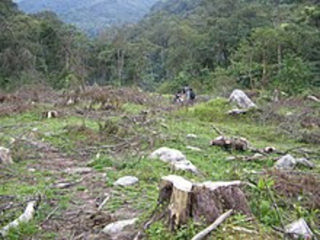 Deforestación en Colombia