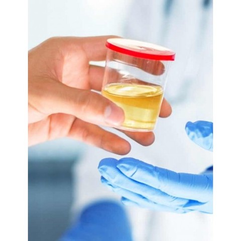 Descubrimiento del anatomista Domenico Cotugno