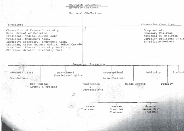 Organizational phase begins