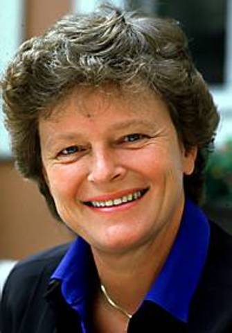 Desarrollo que satisface las necesidades del presente