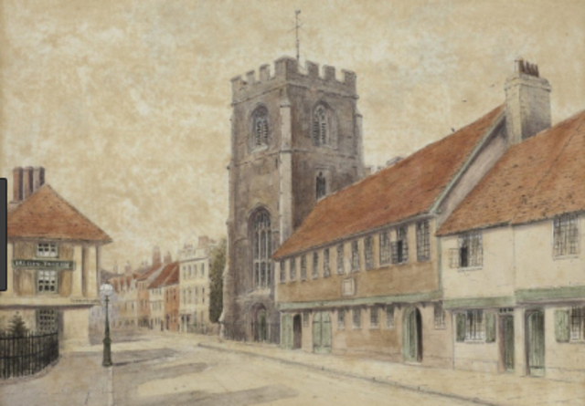 The Education of Shakespeare