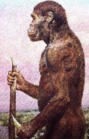 4.2 and 3.9 million years ago