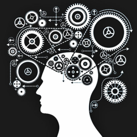 Primera publicación provisional