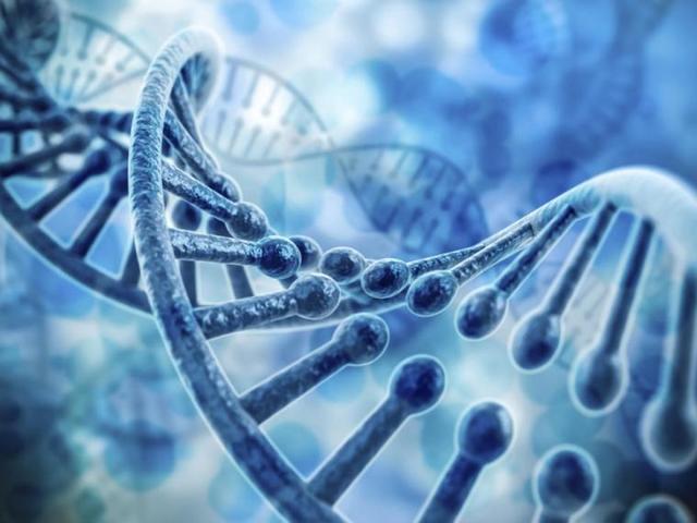 Dispositivos robóticos de ensamblaje a nanoescala similares a ADN