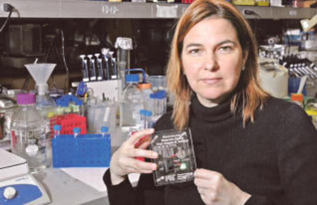 Baterías de Litio a Nano Escala