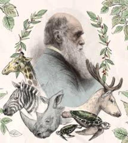 El Beagle llegó a Inglaterra