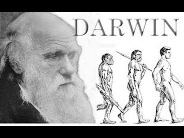 Origen de las especies