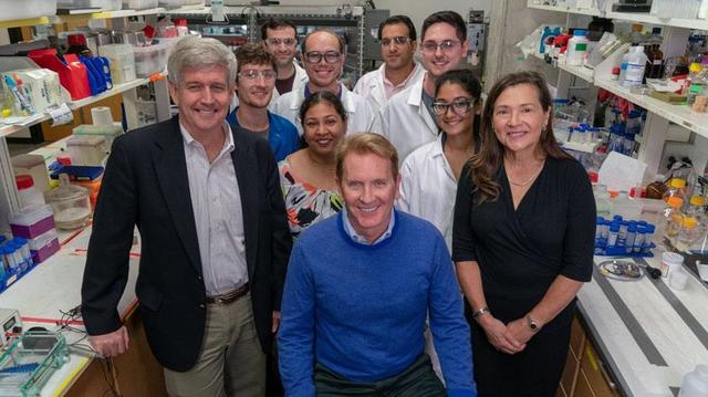 Nanocápsulas de oro