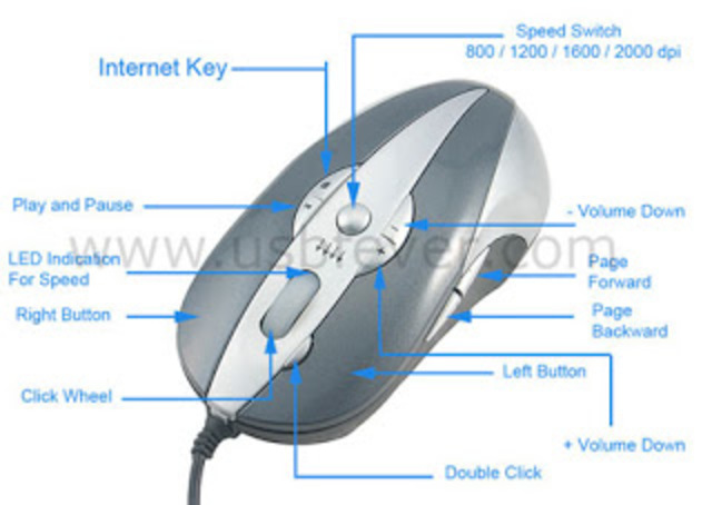 Evolución del mouse (ratón)