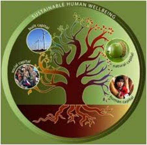 Sostenibilidad ambiental del capital natural