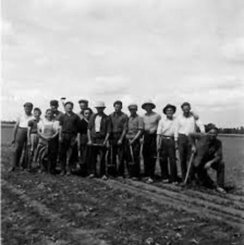 UN POCO MAS ADELANTE