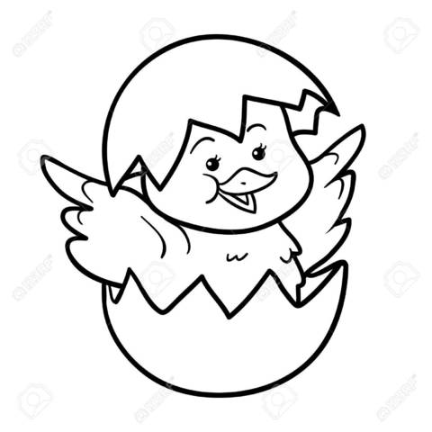 La Revisoria Fiscal nace en el segundo semestre del siglo XIX D.C.