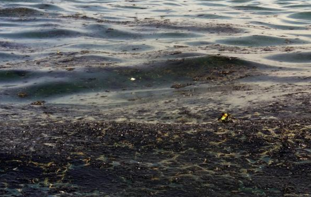 GOLFO DE MORROSQUILLO