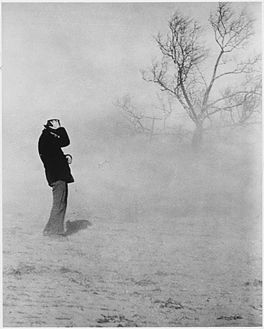 The Dust Bowl