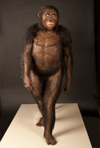 Evidencias sobre la antigüedad del ser humano