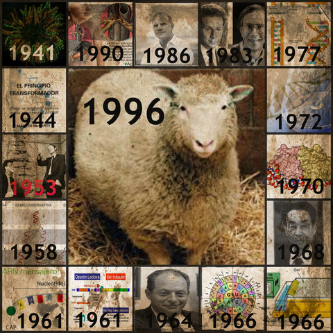 Genética de poblaciones