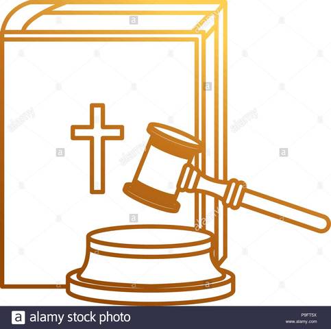 12 artículos de los campesinos