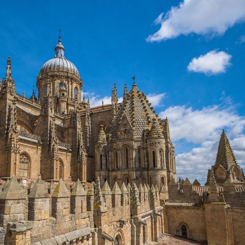 Catedral de Salamanca​