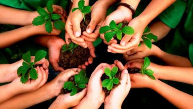 Impulso de la competitividad empresarial