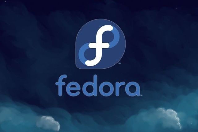 fedora