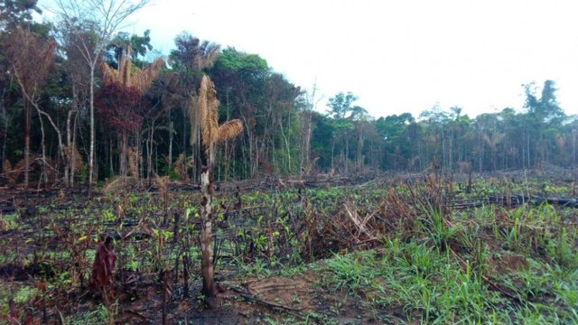 problematica ambiental