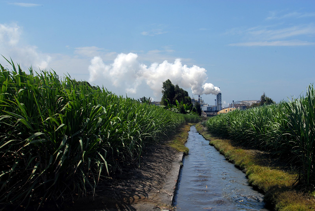 La Agroindustria y el Crecimiento de la Población