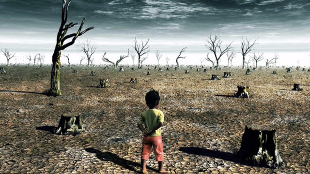 Pérdida  de productividad y competitividad