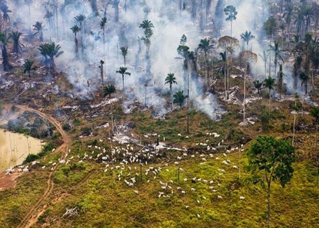 Agotamiento del capital natural