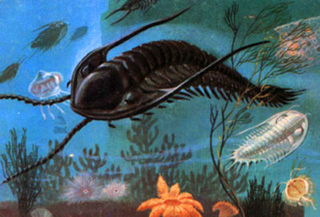 PERÍODO ORDOVÍCICO (490 - 443 Ma)