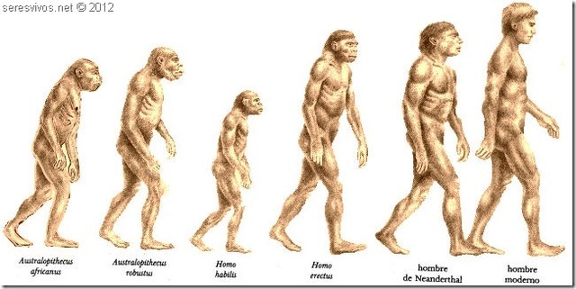 surgimiento de los homínidos y las características únicas de su cerebro