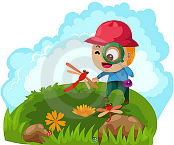 EXPLORACIÓN DEL MEDIO