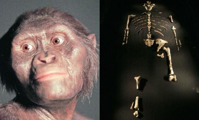 Evolución paleoantropología