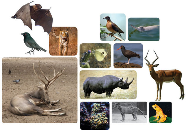 Convencion para la preservacion de los animales