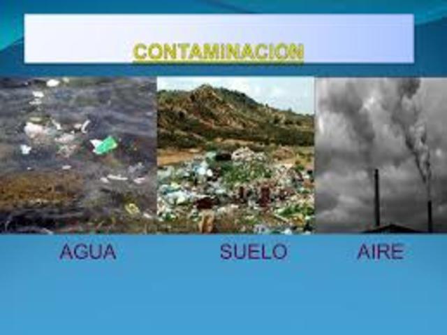 Patrones de Producción y Consumo