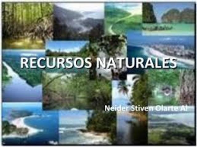 Presión sobre el capital natural