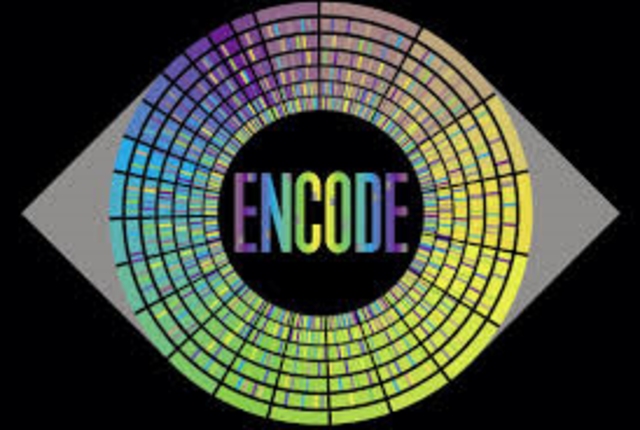 Proyecto ENCODE