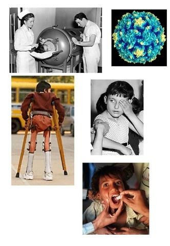 VIRUS POR SÍNTESIS DE POLIOMIELITIS (2.002)