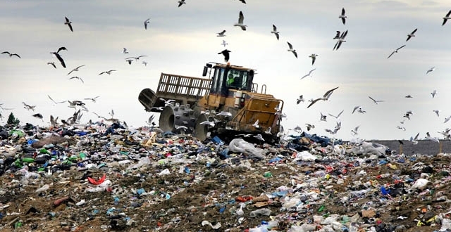 Era de insensibilidad ambiental